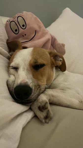 Aby la petite Chipie