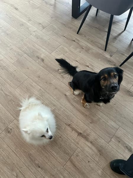 Punchy  aktives und sportliches Mädel