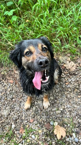 Punchy  aktives und sportliches Mädel