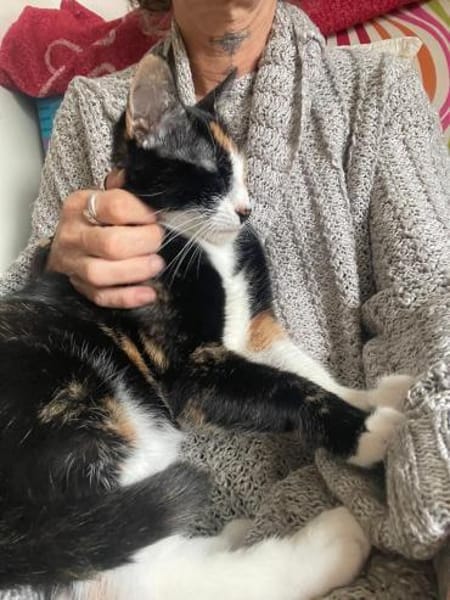 Zuhause gesucht für Nuri&Xena