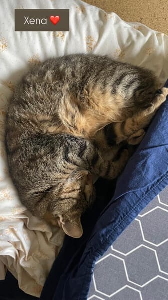 Zuhause gesucht für Nuri&Xena