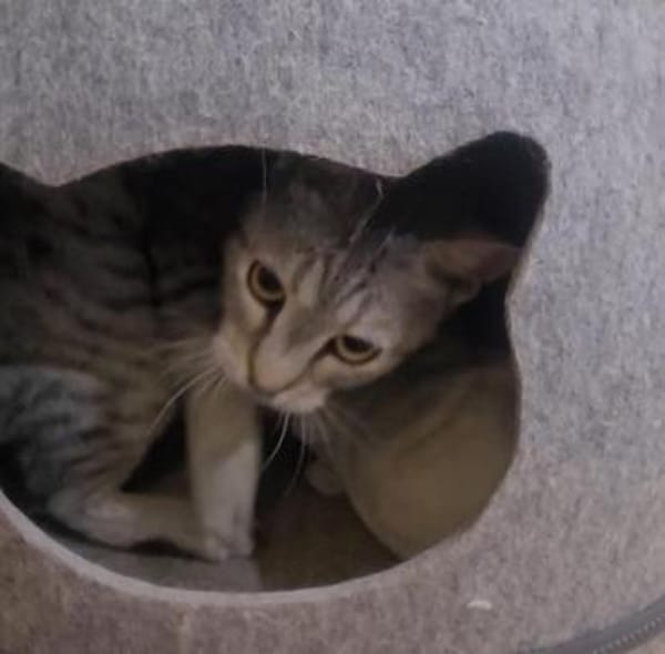 Liebe Tonja sucht Verständnis