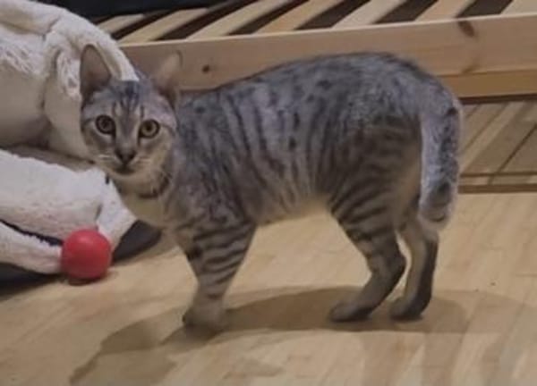 Liebe Tonja sucht Verständnis