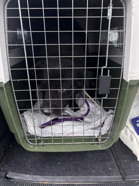 Tim ❤ ein echt gechillter Kollege