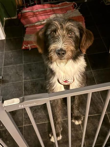 Der freundliche Karl - endlich gewollt?