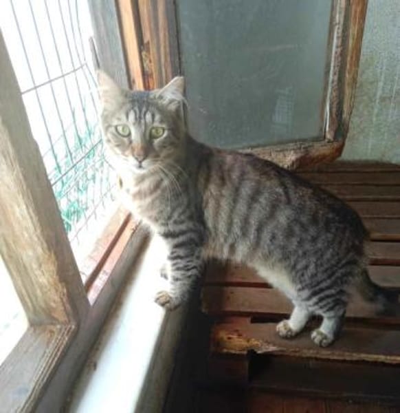 TOPRAK & CAKIR - suchen dringend......