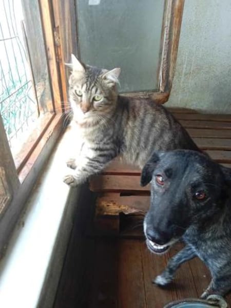 TOPRAK & CAKIR - suchen dringend......