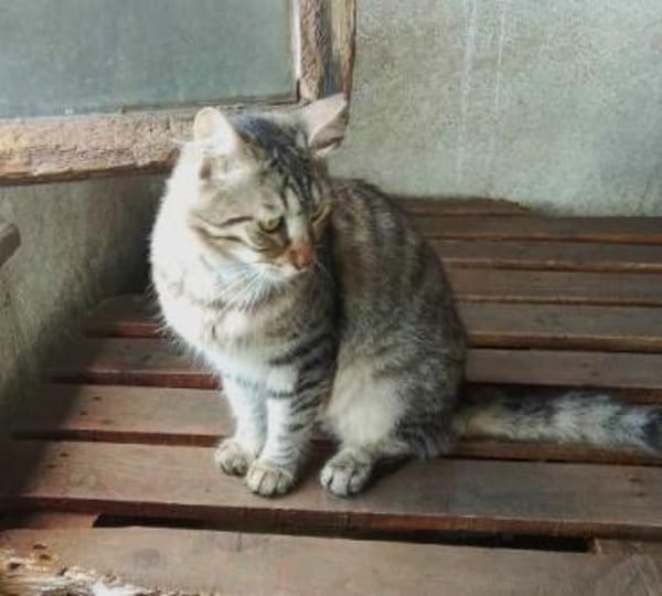 TOPRAK & CAKIR - suchen dringend......