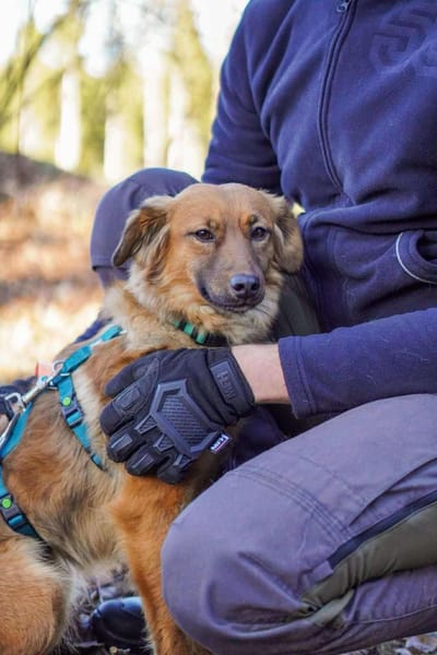 Süße Joy geht mit dir überallhin hin