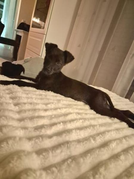 Niedliche Finja möchte ein zu Hause