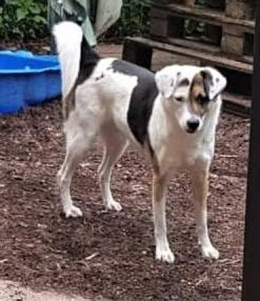 YACCI - wann eine CHANCE ?........