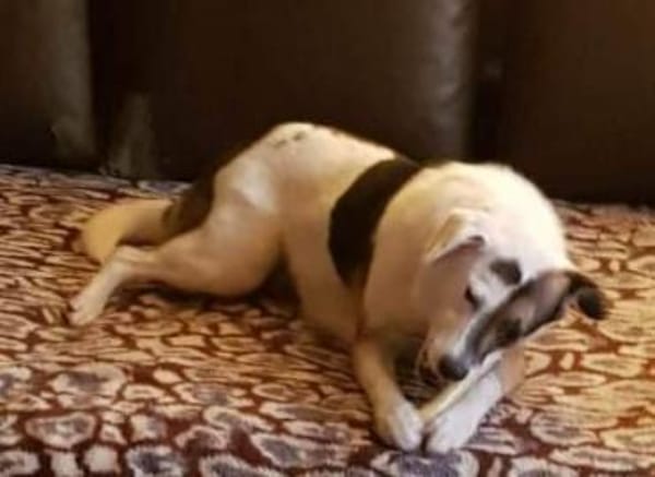 YACCI - wann eine CHANCE ?........