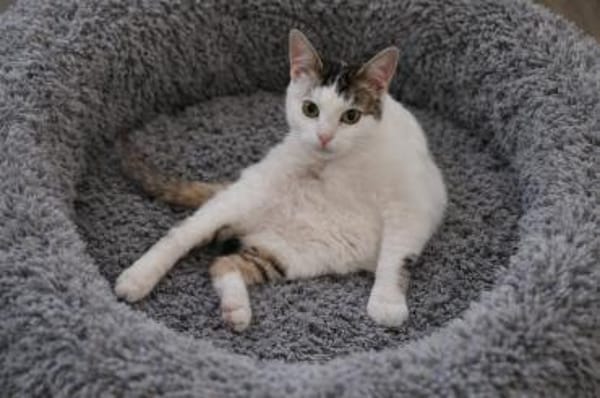 Heinz sucht neuen Wirkungskreis