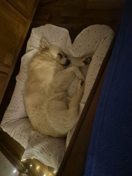 Mina möchte endlich ankommen!