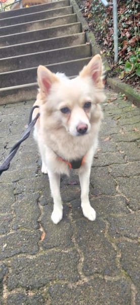 Mina möchte endlich ankommen!