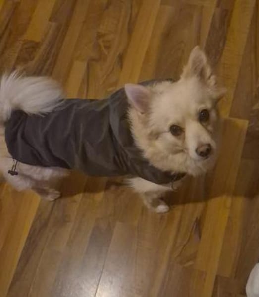 Mina möchte endlich ankommen!