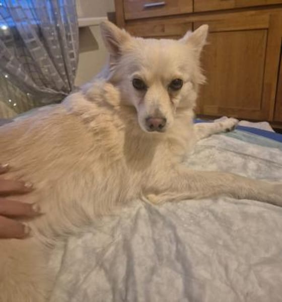 Mina möchte endlich ankommen!