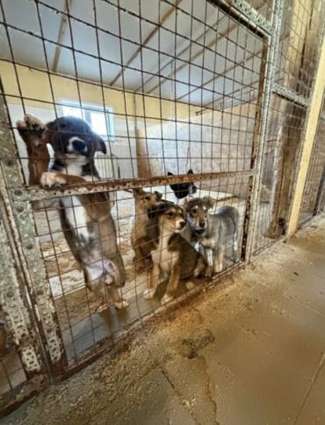 Ihre einzige Chance!