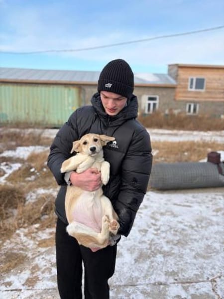 Ihre einzige Chance!