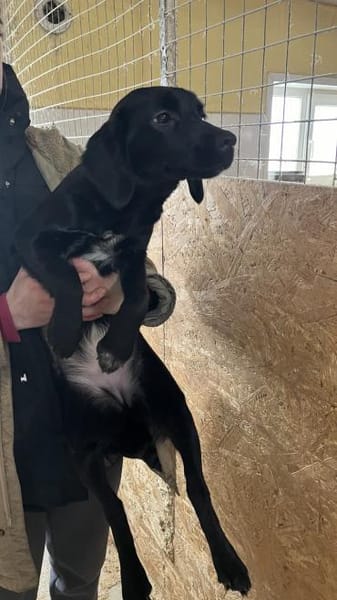 Ihre einzige Chance!