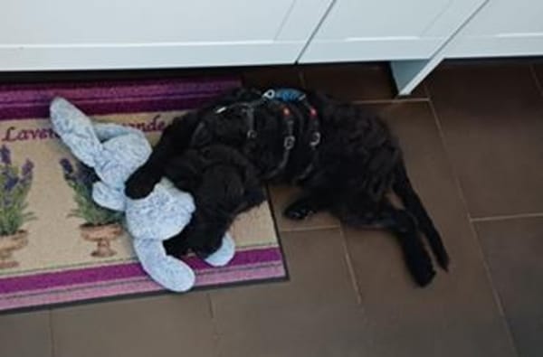 James° 61250 Usingen