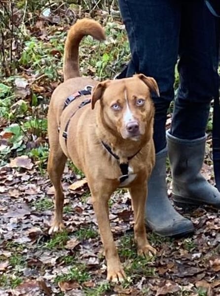 Tabea  sanfte Entdeckerin