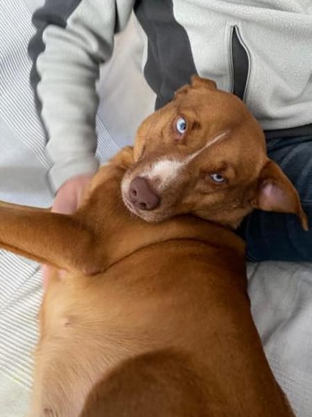 Tabea  sanfte Entdeckerin