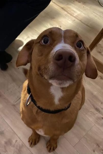 Tabea  sanfte Entdeckerin