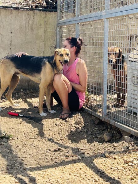 Zuhause gesucht für Minou