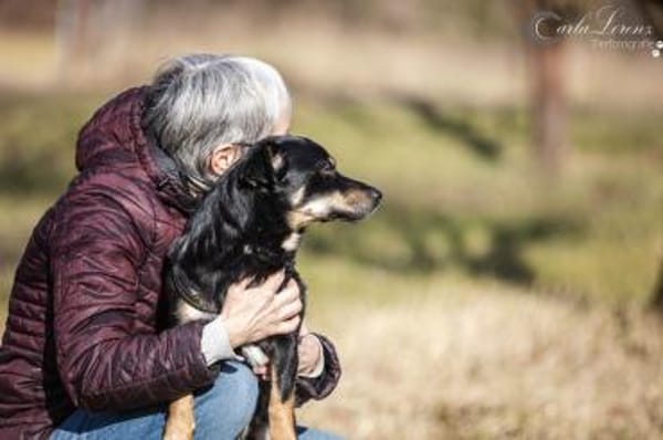 Anton kleiner Rüde sucht Sie