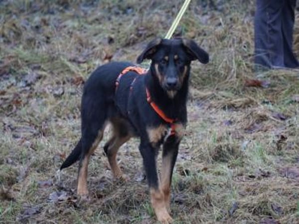 Nehmen Sie liebenswerten Deny auf ?