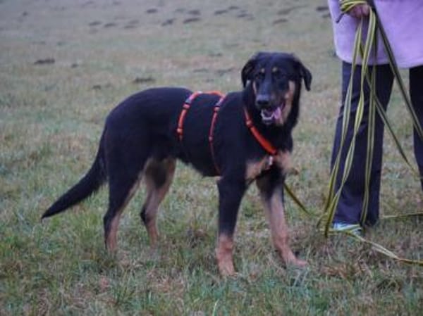 Nehmen Sie liebenswerten Deny auf ?