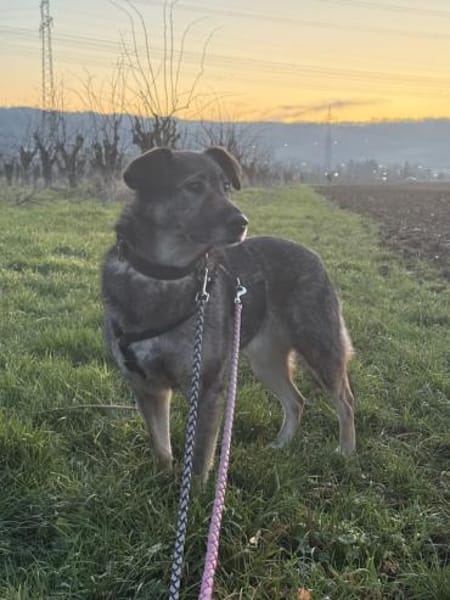 Alva bereit für Liebe, Leben und Lernen