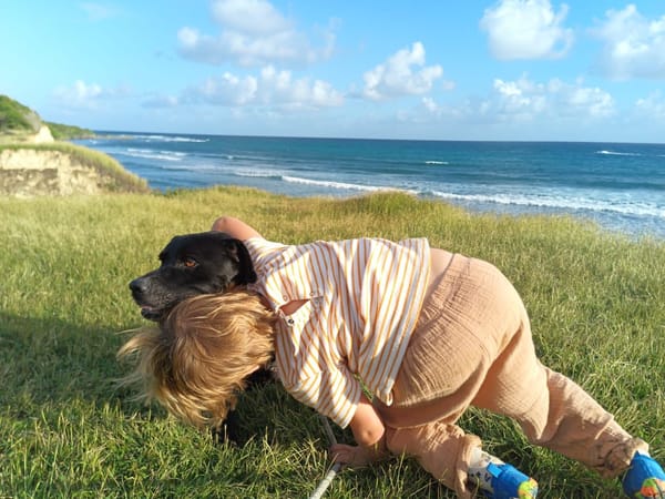 Victor, mâle croiséberger, né le 10/10/2024