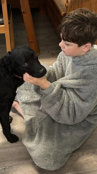 ❤Joy, sanftes Labbimixmädchen, Erkelenz