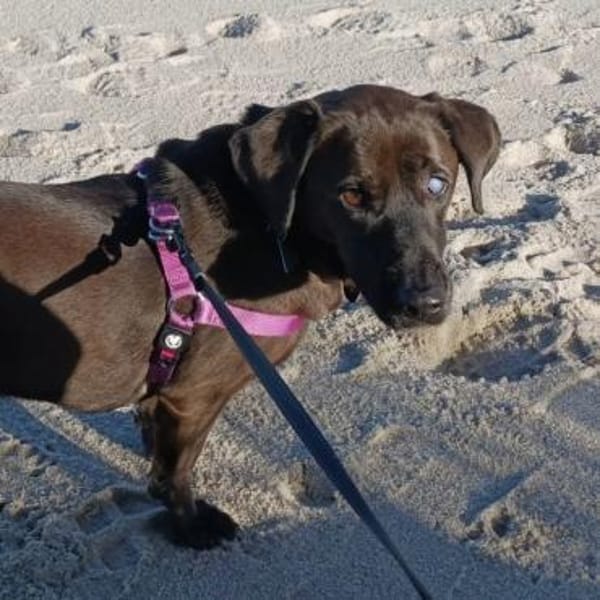 NERINA MUSS IHR ZUHAUSE VERLASSEN