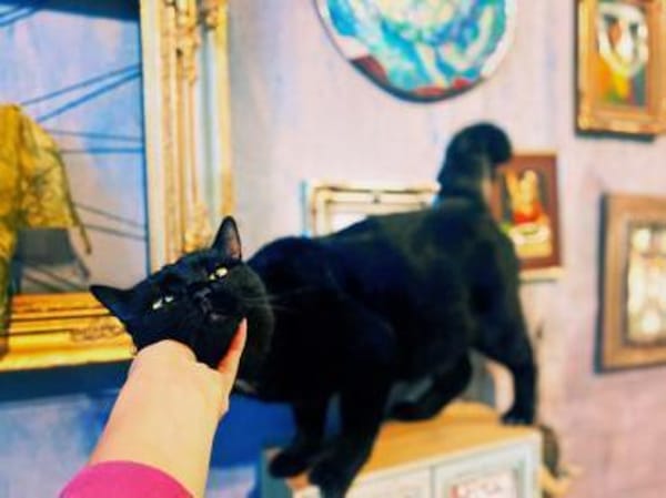 Lamborghini auf der Suche nach Liebe!