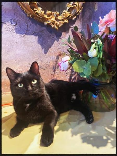 Lamborghini auf der Suche nach Liebe!