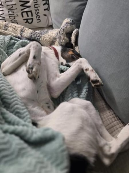 BRISA ❤ kleine Frohnatur, Immenhausen