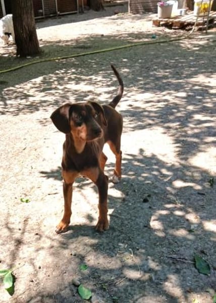 Nikol, möchte gerne reisen