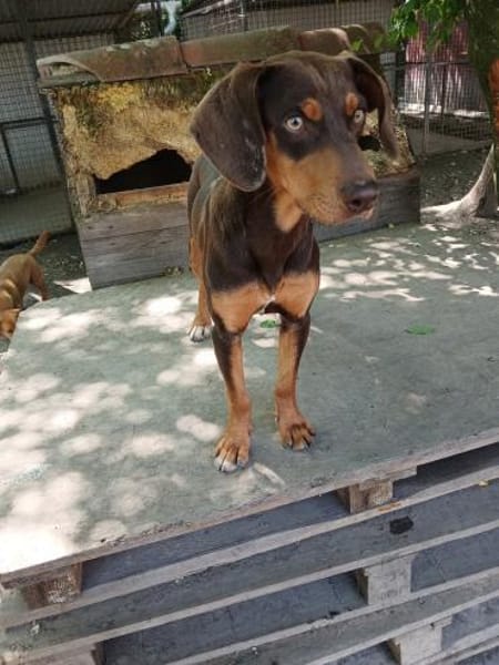 Nikol, möchte gerne reisen