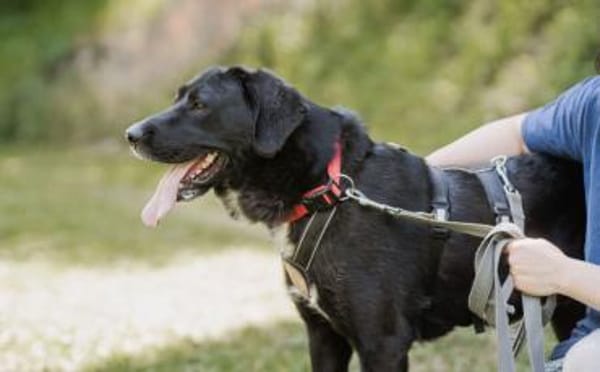 Jake Sully sucht seine eigene Familie