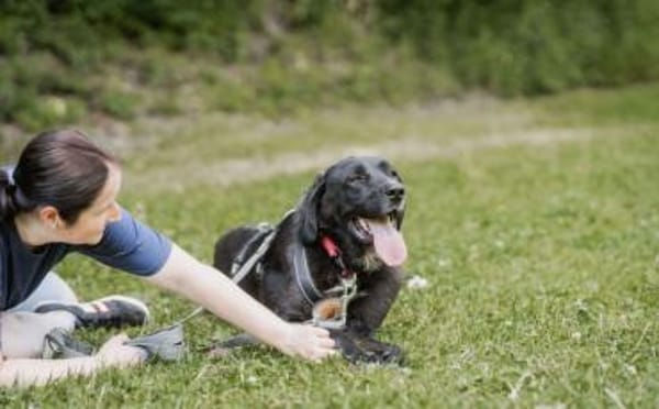 Jake Sully sucht seine eigene Familie