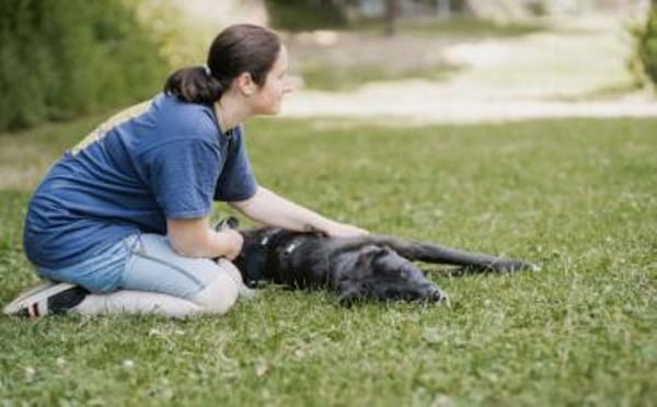 Jake Sully sucht seine eigene Familie