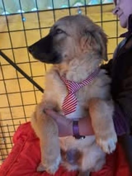 Timmysucht sein großes Glück