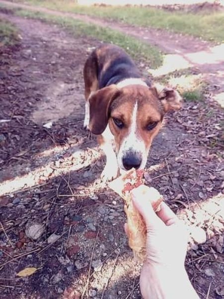 ❤Alfonso hat ein Herz aus Gold...