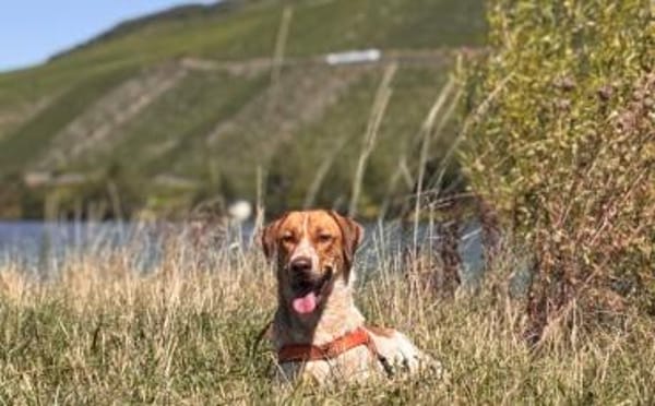 Alisa sucht Menschen mit großem Herz