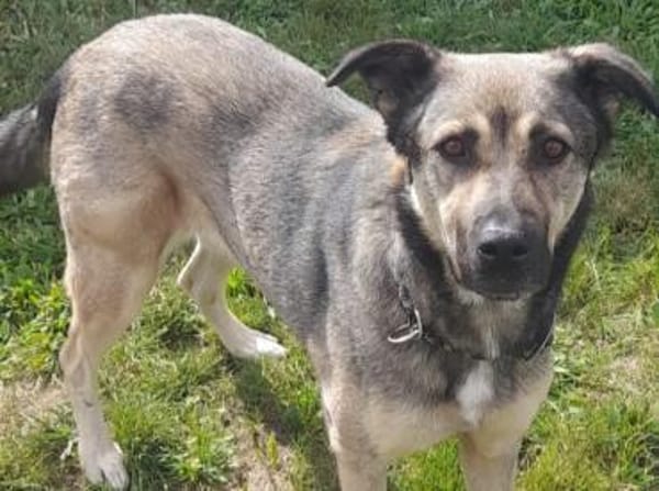 THALIA, ruhig, hungrig nach Liebe