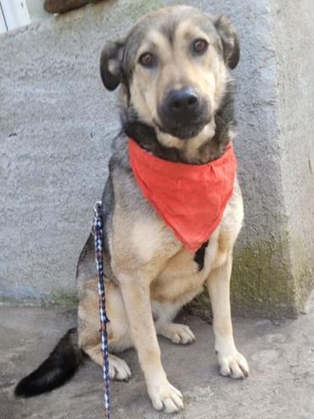 THALIA, ruhig, hungrig nach Liebe