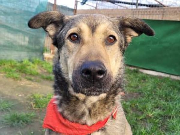 THALIA, ruhig, hungrig nach Liebe